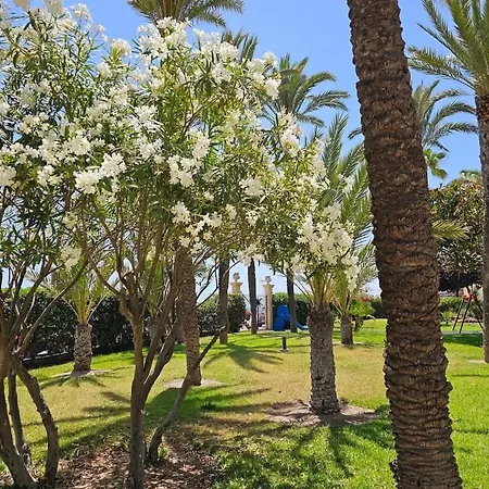 El Palmeral Playa De Locos Торевьиа