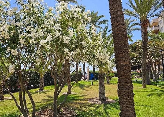 El Palmeral Playa De Locos Torrevieja